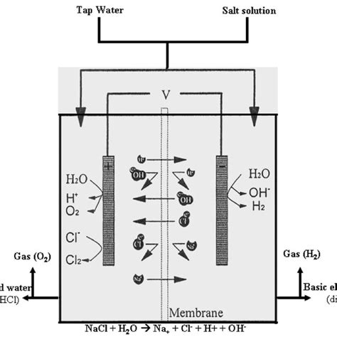 Fig. +. Schematic of electrolyzed water generator and resulting ...