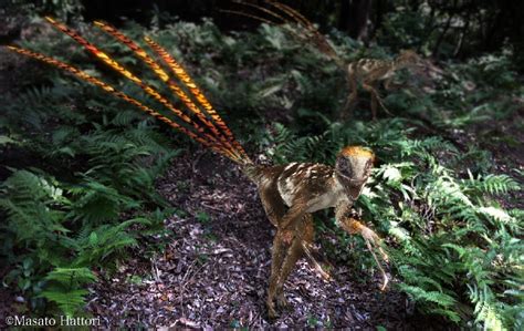 Epidexipteryx Pictures & Facts - The Dinosaur Database