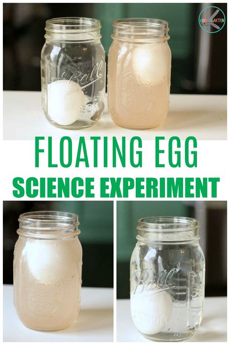 Kindergarten Worksheets and Games: Kindergarten Egg Sink or Float Experiment