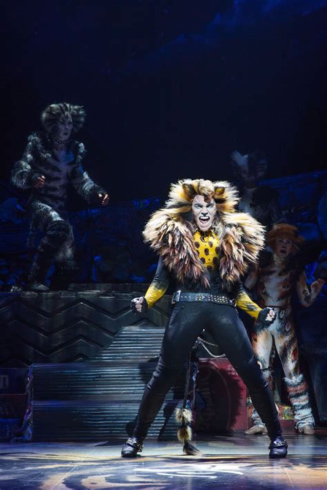 Main Song In Broadway Cats