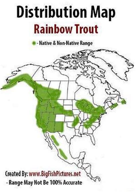 Rainbow Trout Distribution Range Map | Trout Fishing | Pinterest | Maps, Rainbow trout and Ranges