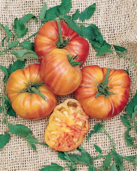 Types of Heirloom Tomatoes | HGTV