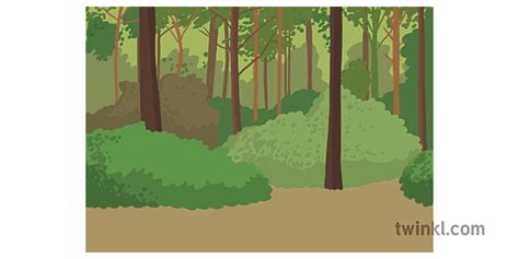 Forest Background Illustration - Twinkl