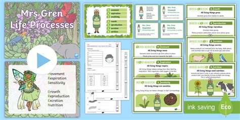 MRS GREN Activity Pack | Life Processes Resource Pack