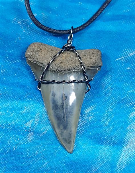 Museum Quality hastalis (Mako) Shark Tooth Necklace · L1: 2.02 L2: 1.80 ...