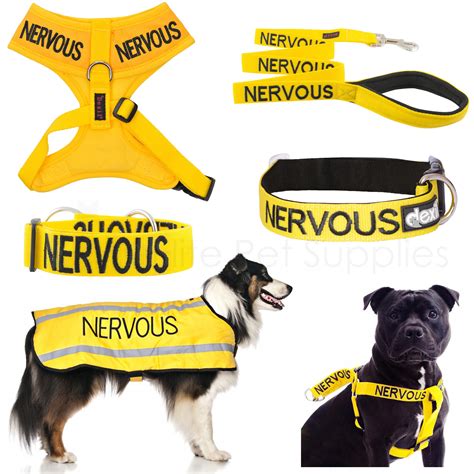 DEXIL DOG COLLAR, Lead, Harness, Coat Colour Coded Advance Pet Warning Worded £10.45 - PicClick UK