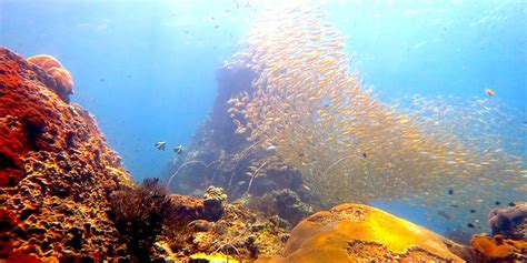 Scuba Diving Phuket - Similan Islands - Phuket Thailand.: Diving In The ...