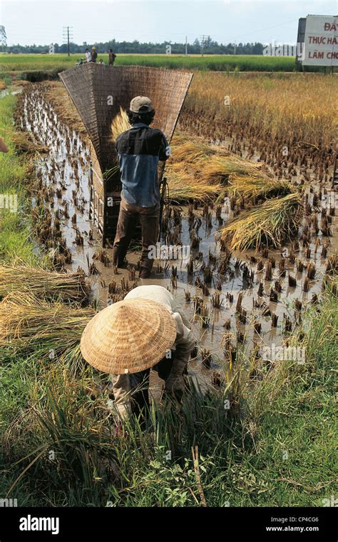 Peasants working hi-res stock photography and images - Alamy