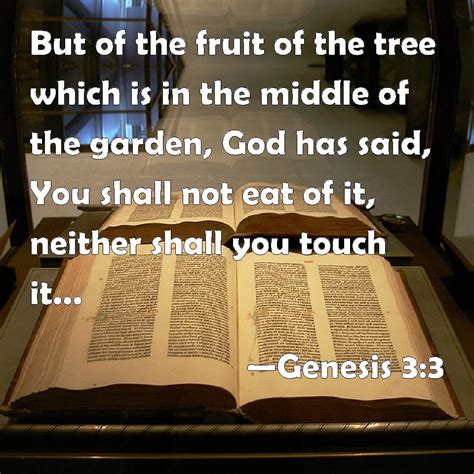 Genesis 3:3 But of the fruit of the tree which is in the middle of the garden, God has said, You ...