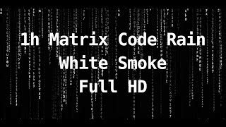 1h Matrix Code Rain | Digital Rain Animation | Screensa... | Doovi