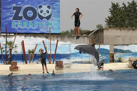 Best Madrid Zoo Aquarium Tours & Tickets - Book Now - Viator