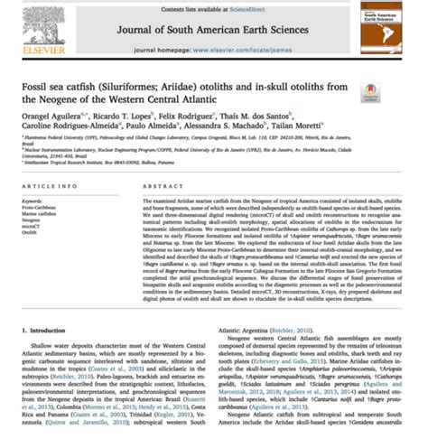 (PDF) Fossil sea catfish (Siluriformes; Ariidae) otoliths and in-skull otoliths from T the ...