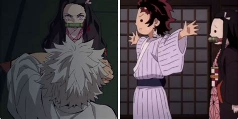 Demon Slayer: 5 Times Tanjiro Protected Nezuko (& 5 Times Nezuko Returned The Favor)