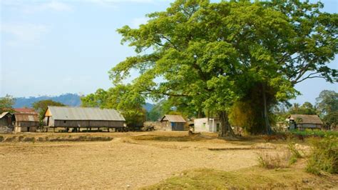 Buon Ma Thuot Weather in February: Historical Temperature, Rainfall & Humidity