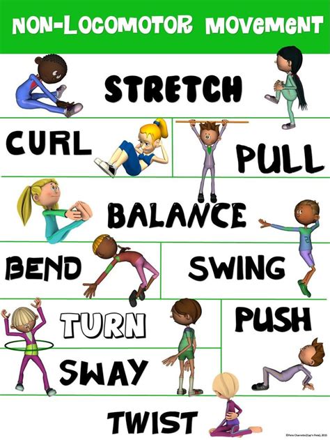 Non-locomotor skills | Elementary physical education, Physical ...