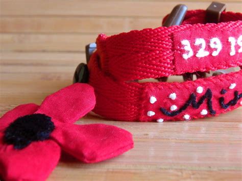 Dog Name Collar Dog Jewelry Dog ID Collar Personalized Dog - Etsy