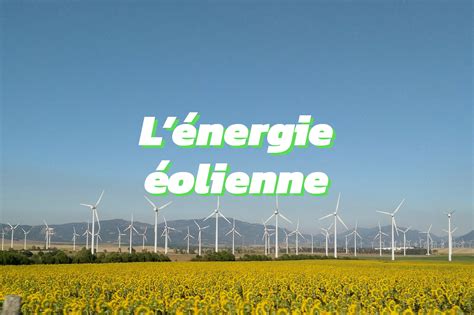 Tout ce que vous devez savoir sur l’énergie éolienne | Qui Est Vert