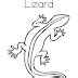The Latest 12+ Lizard Coloring Sheet ~ Best Coloring Pages For Kids