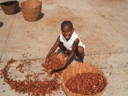 Child labour in cocoa production - Wikipedia