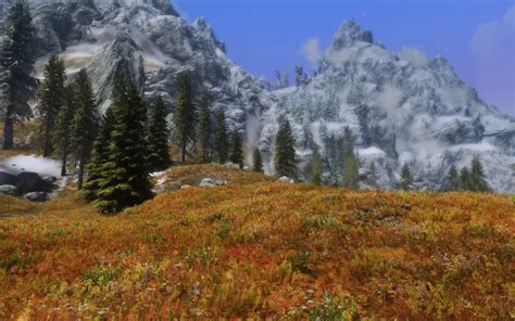 Skyrim Flora Overhaul at Skyrim Nexus - Mods and Community