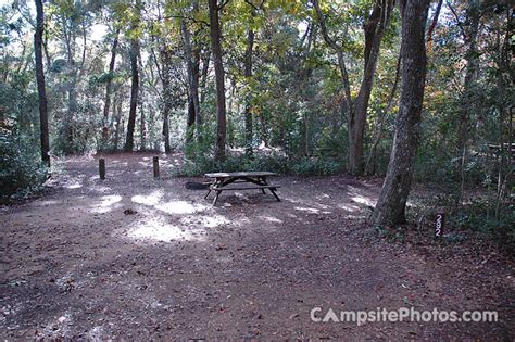 Myrtle Beach State Park - Campsite Photos, Camping Info & Reservations