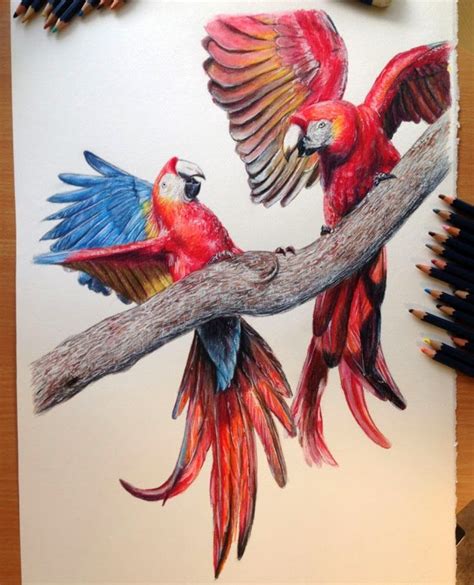 25 Best Bird Drawings For Your Inspiration!