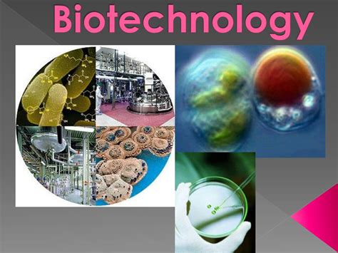 PPT - Biotechnology PowerPoint Presentation, free download - ID:1604291