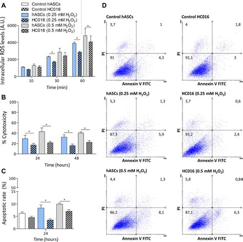 Cytoprotective effect of preconditioning in an oxidative stress-induced... | Download Scientific ...