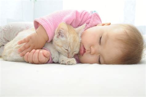 How to Keep Your Cat out of Your Baby’s Crib » Petsoid