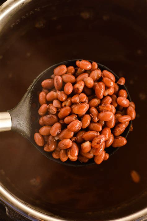 Instant Pot Small Red Beans | A Taste of Madness