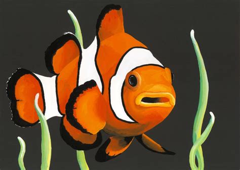 The Clownfish - Henry Fraser Art