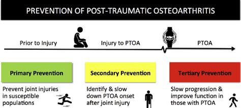 A continuum for preventing symptomatic post-traumatic osteoarthritis. | Download Scientific Diagram