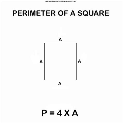 The Perimeter Of A Square