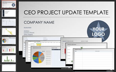 Executive Summary Project Status Report Template