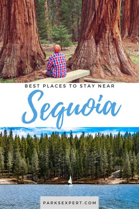 Where to Stay: Sequoia National Park Lodging » The Parks Expert