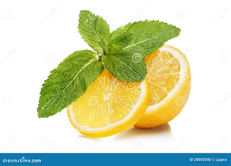 Slices Of Lemon And Mint Stock Photo - Image: 20053540