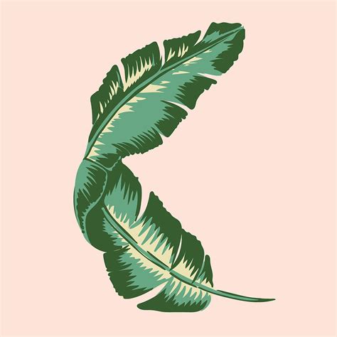 Banana Leaf Square Print Digital Art by Lauren Amelia Hughes | Pixels