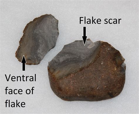 Flakes - Learning about Lithics