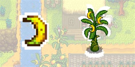 How To Get Bananas In Stardew Valley