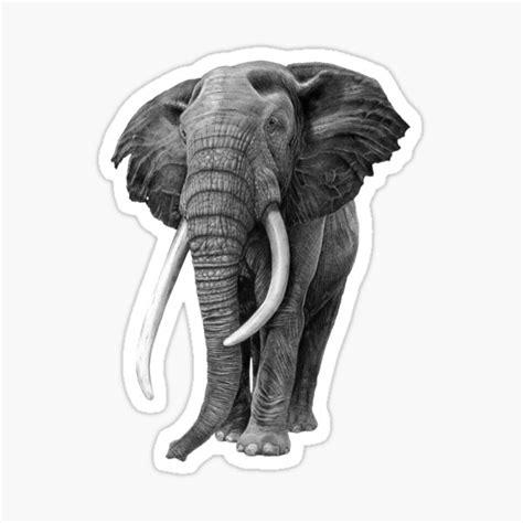 "Bull elephant - Drawing in pencil" Sticker for Sale by sean-fleming | Redbubble