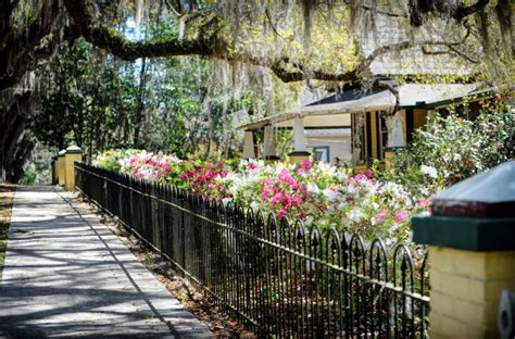 Floral City, FL, Itinerary: Top Activities & Attractions