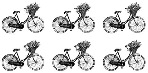 Bicycle Flowers Vintage Wallpaper Free Stock Photo - Public Domain Pictures