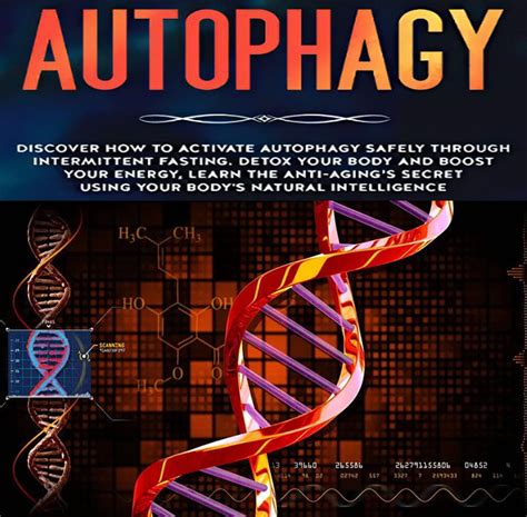 Best Autophagy Supplements - #1 Top Autophagy Activators