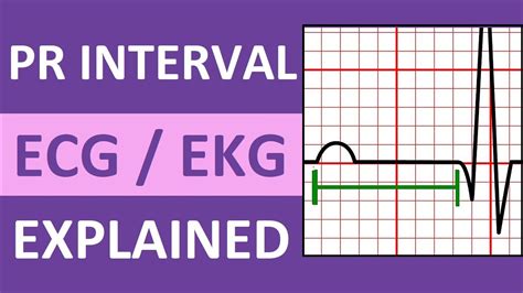 PR Interval ECG EKG Measurement Normal vs Long Nursing NCLEX ACLS - YouTube