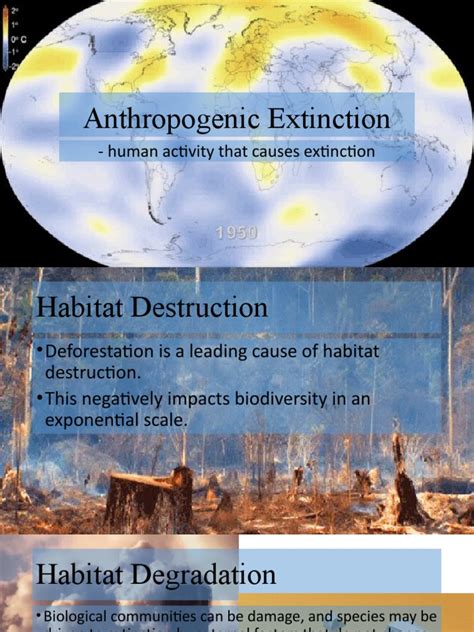 Anthropogenic Extinction | PDF