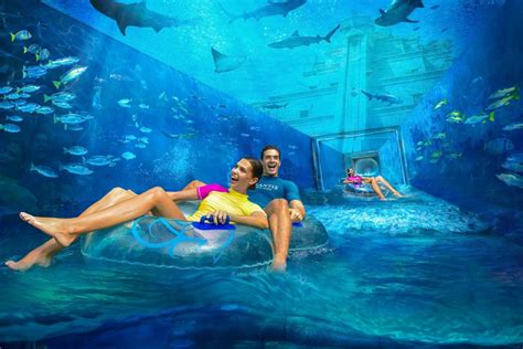 Dubai: Atlantis Aquaventure & Lost Chambers Aquarium Combo | GetYourGuide