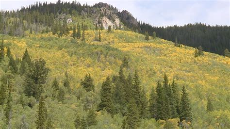 Colorado fall colors forecast to be most vibrant in years | 9news.com