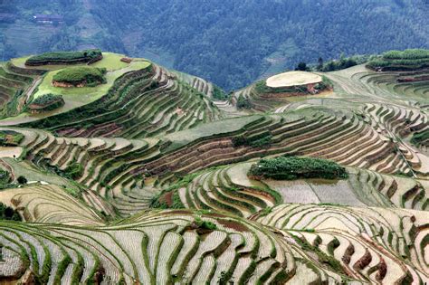 Wallpaper : China, plants, mountain, green, water, Canon, landscape, rice, patterns, terraces ...