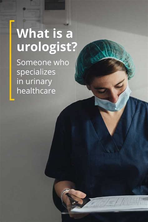 What Is a Urologist? What They Do, Procedures, and More | Urologists ...