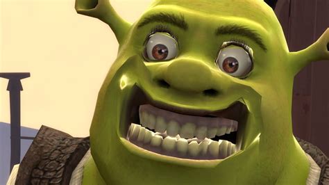 Donkey Meme Face Shrek Shrek Donkey Funny - lagunasound